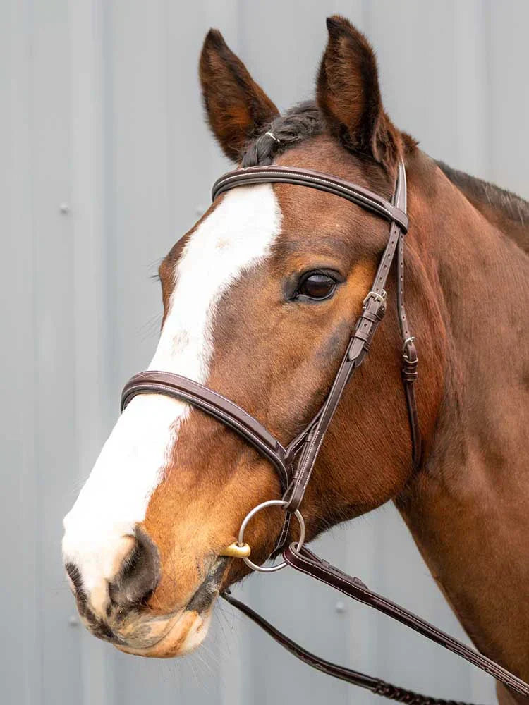 Horse wearing Marco Simone bridle made with the finest, superior-quality, Italian leather