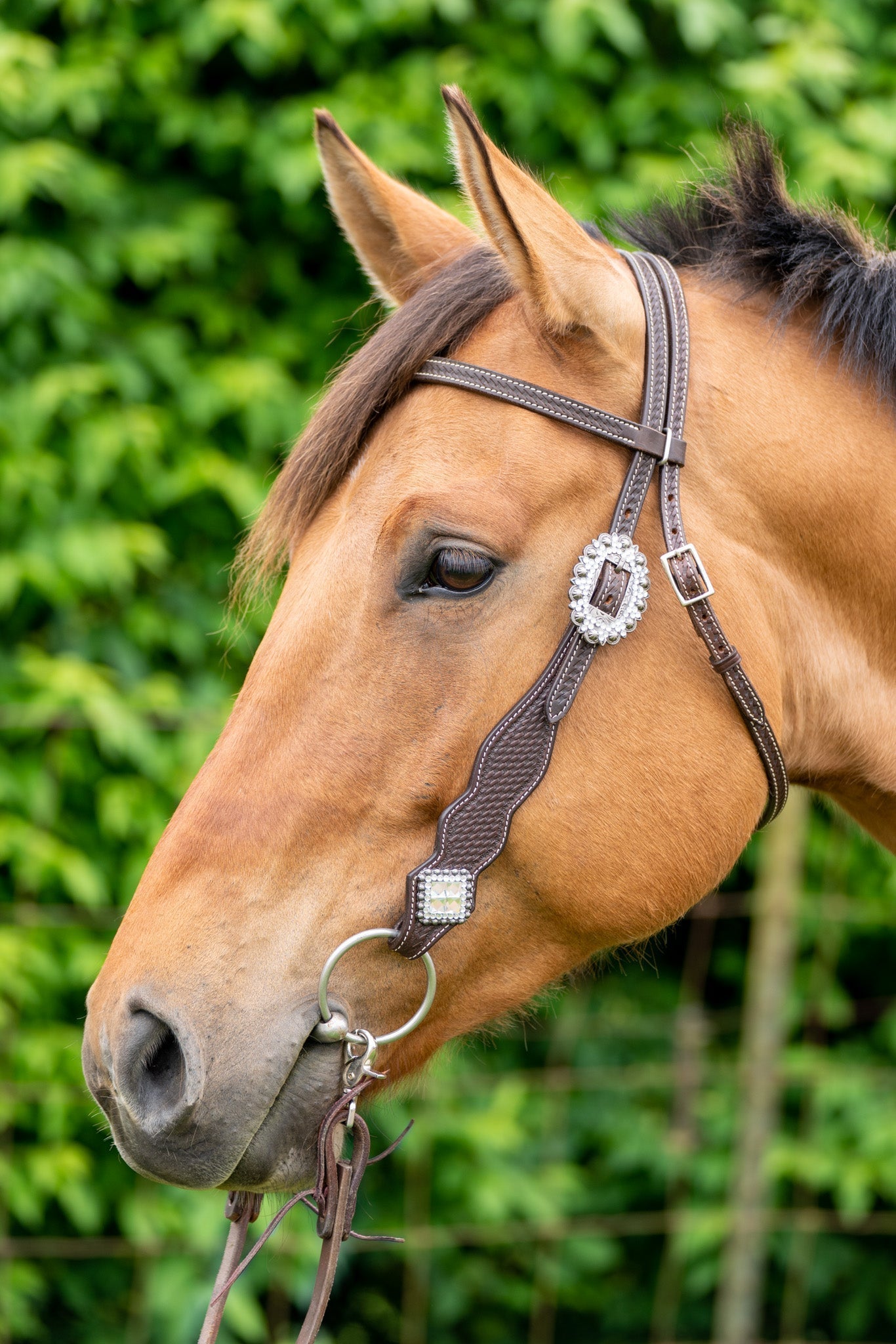 thumbnail image 2 of Tack Shack Of Ocala- Reinsman Circle Y Lightweight Classic Smooth Browband Headstall, Western Headstall, Bridle, Headstall, Leather Headstall, Leather Western Headstall, Headstall For Horses (Black 2 of 11