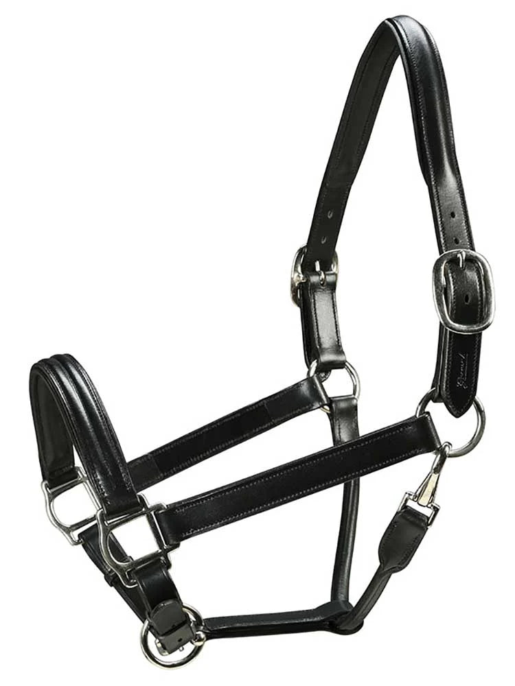 Triple-stitched Italian leather halter with luxurious padding, offering classic style and strong, dependable durability.