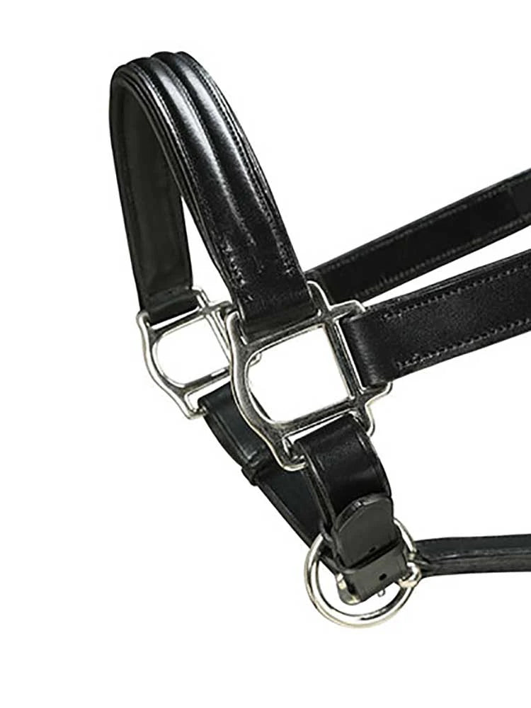 Close-up of stainless steel hardware on a triple-stitched Italian leather halter, showcasing durability and classic design.