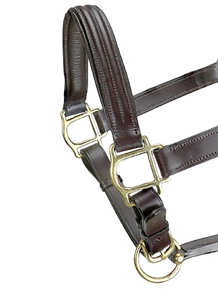 Close-up of brass hardware on a triple-stitched Italian leather halter, showcasing durability and classic design.
