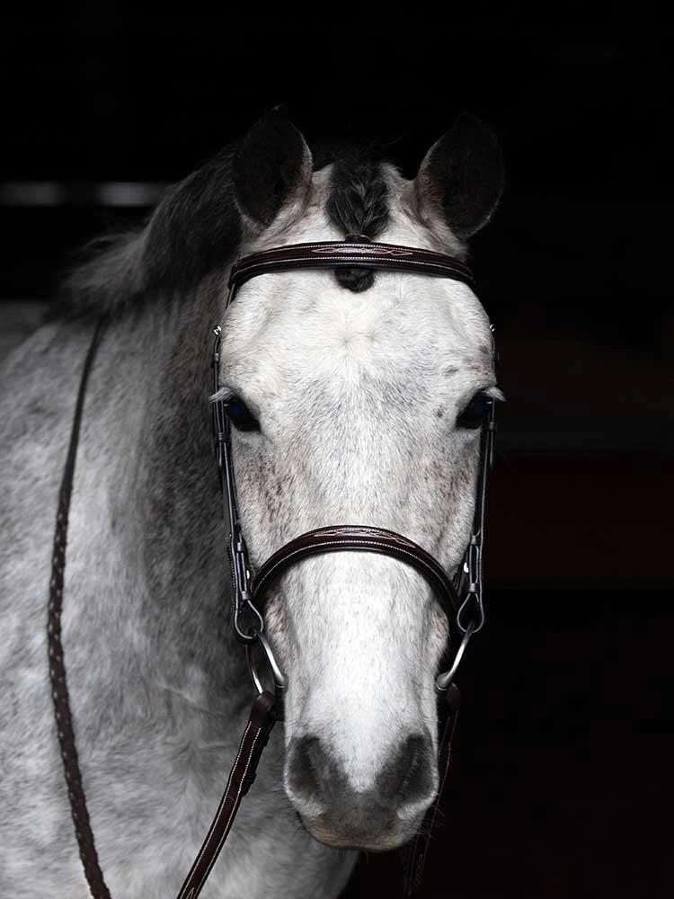 Arnold Fancy Stitch Raised Snaffle Hunter Bridle – Grewal Equestrian