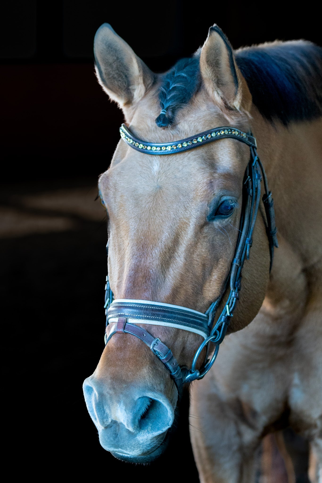 Crystal browband with bling