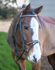Broadmoor Monocrown Bridle with Accent Piping
