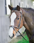 Broadmoor Monocrown Bridle with Accent Piping