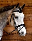 A gray horse wearing a black monocrown bridle with a snakeskin-embossed design and stainless-steel hardware.