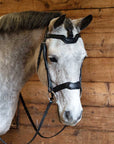A gray horse wearing a black monocrown bridle with a snakeskin-embossed design and stainless-steel hardware.