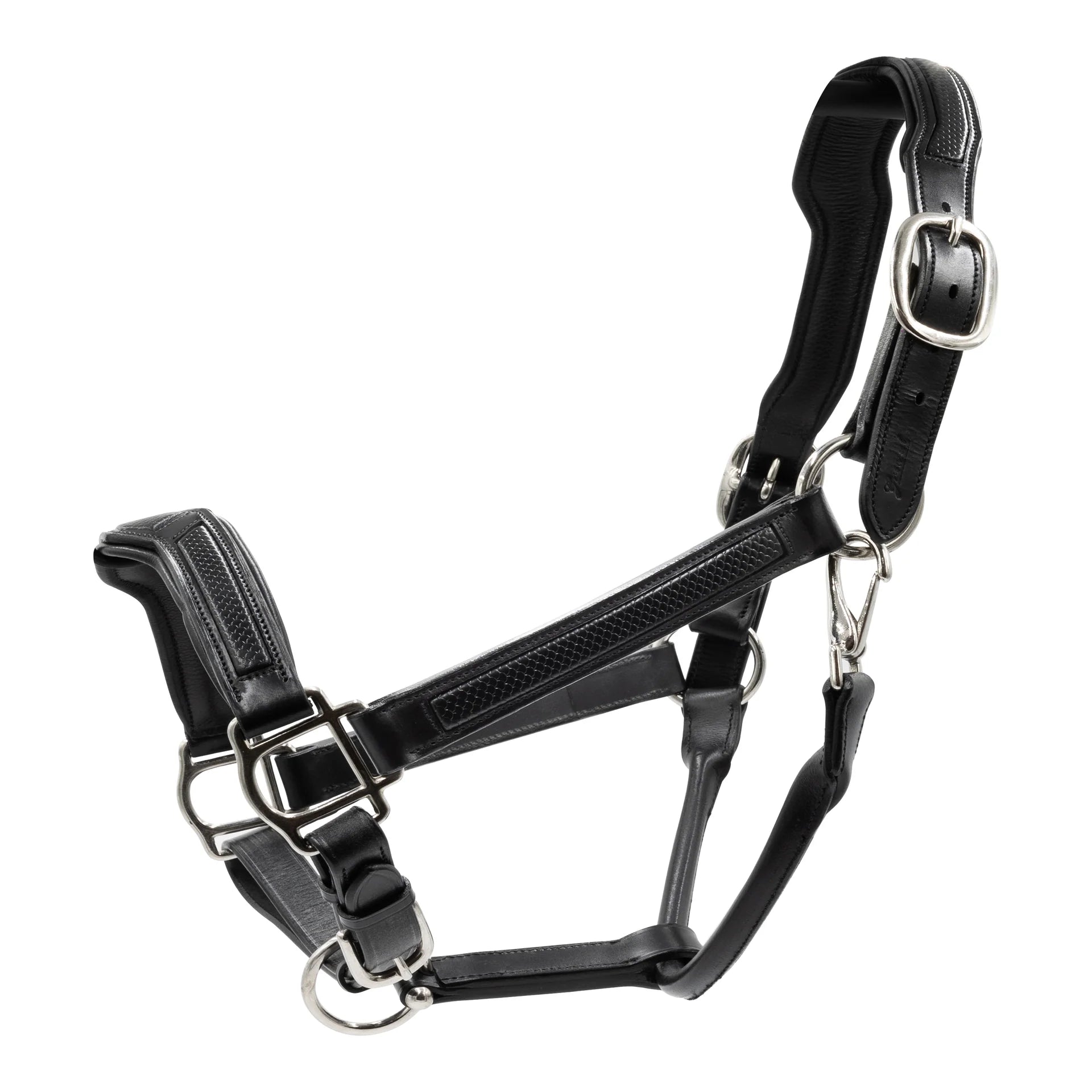 Black horse halter with metallic hardware.