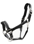 Black leather horse halter with metal hardware.