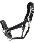 Black horse halter with metallic hardware.