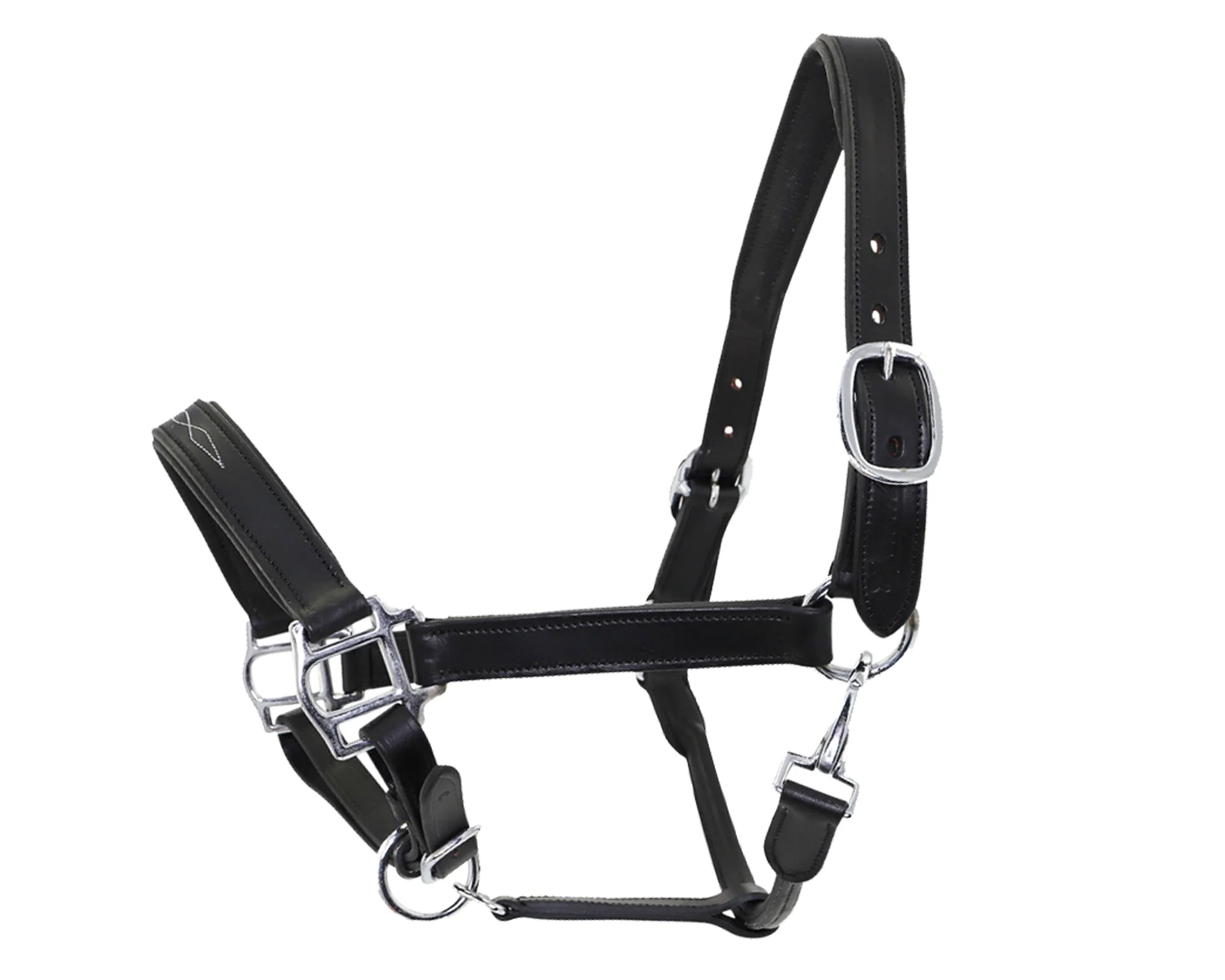 Black leather horse halter with silver hardware on a white background