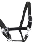 Black leather horse halter with silver hardware on a white background