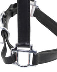 Close-up of a black leather bridle with silver hardware on a white background