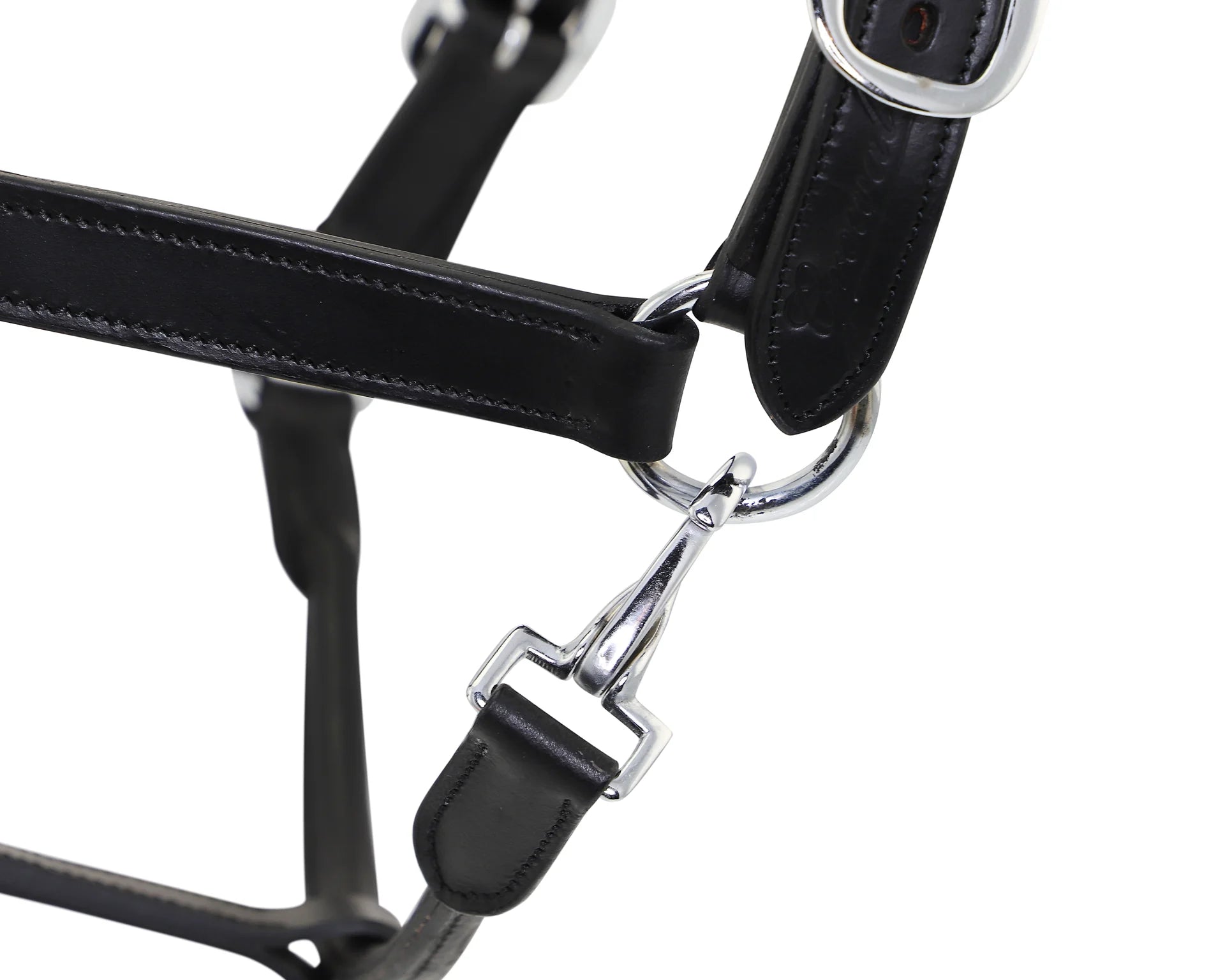 Close-up of a black leather horse bridle with silver hardware on a white background
