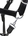 Close-up of a black leather horse bridle with silver hardware on a white background