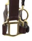 Close-up of a brass horse bridle bit with brown leather straps on a white background