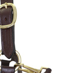 Brown leather bridle with gold hardware on a white background