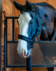 Fleece-Lined Nylon Halter with Lead Rope