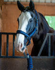 Fleece-Lined Nylon Halter with Lead Rope