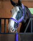 Fleece-Lined Nylon Halter with Lead Rope