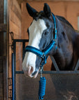 Fleece-Lined Nylon Halter with Lead Rope