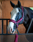 Fleece-Lined Nylon Halter with Lead Rope