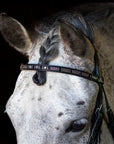 Glistening Copper Browband