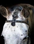 Glistening Copper Browband