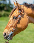 A brown horse wearing a brown western headstall with silver buckles and intricate flower details.
