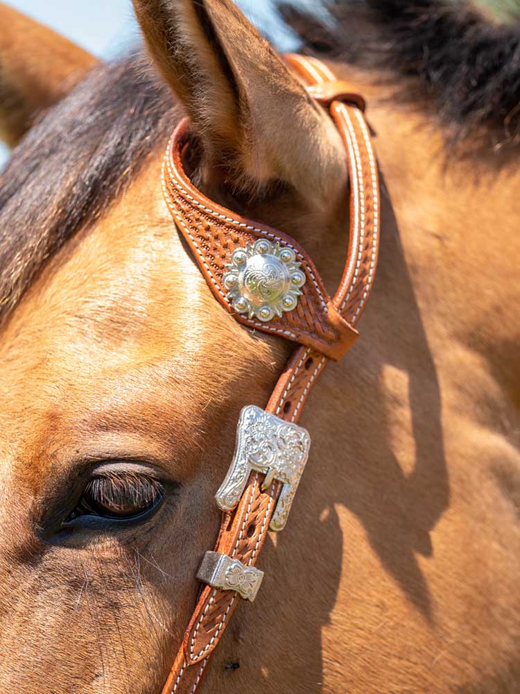 Western Single Ear Headstall with Conchos - London Gold