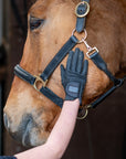 Isabella Riding Gloves