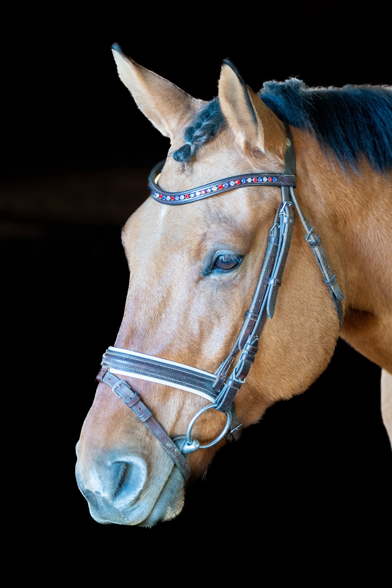 Crystal browband with bling