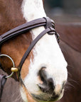 Marco Simone Italian Leather Monocrown Bridle