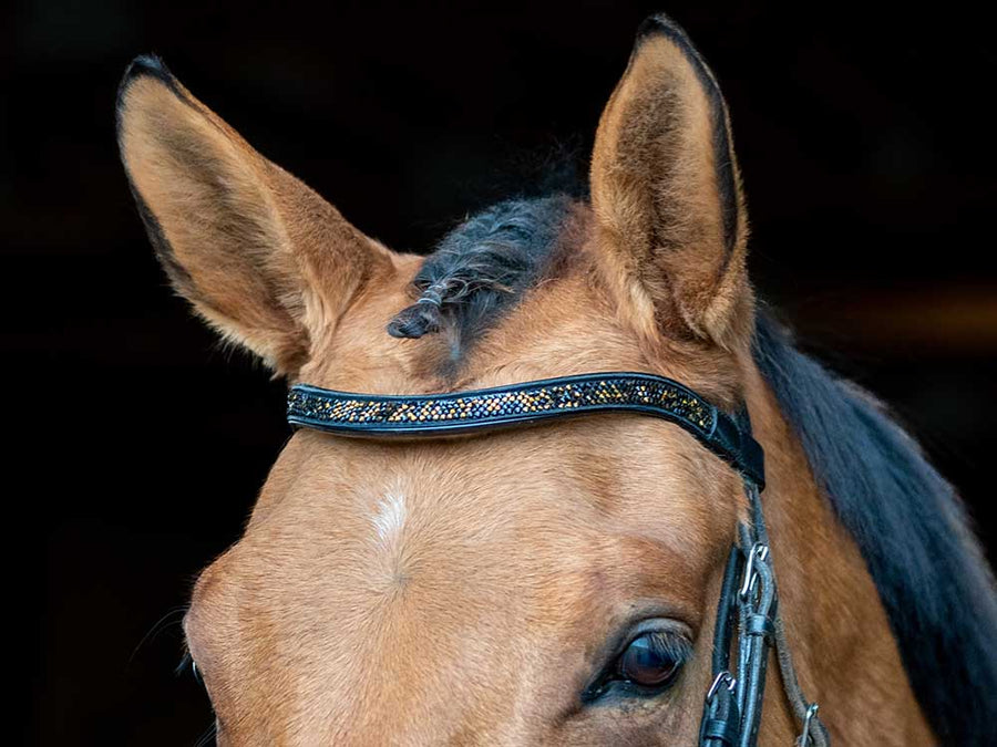Midnight Bedazzled Browband