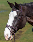Munich Square Raised Bridle