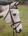 Murphy's Classic Bridle