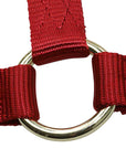 Red Nylon Halter with metal ring