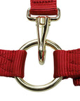 Metal clasps on red nylon halter