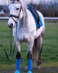 Blue Safety Step Bell Boots on horse