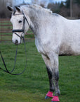 Pink Safety Step Bell Boots on horse