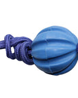 Serrated Ball with Rope Dog Toy