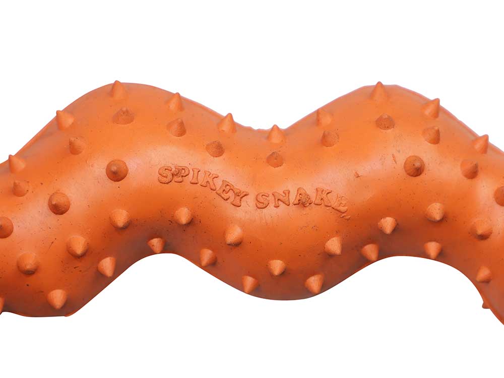 Spikey Snake Rubber Dog Toy