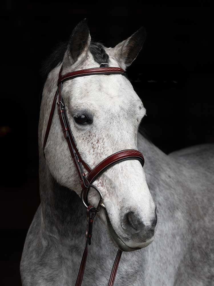 St. Andrews Fancy Raised Hunter Snaffle Bridle – Grewal Equestrian