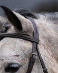 Thornberry Round Raised Hunter Bridle