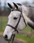 Thornberry Round Raised Hunter Bridle