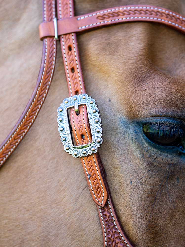 Double Stitched Leather Browband Headstall W/ Silver Texas Star Conchos & Reins