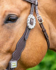 Bristol with Bling Headstall