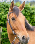 Bristol with Bling Headstall
