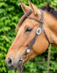 Bristol with Bling Headstall