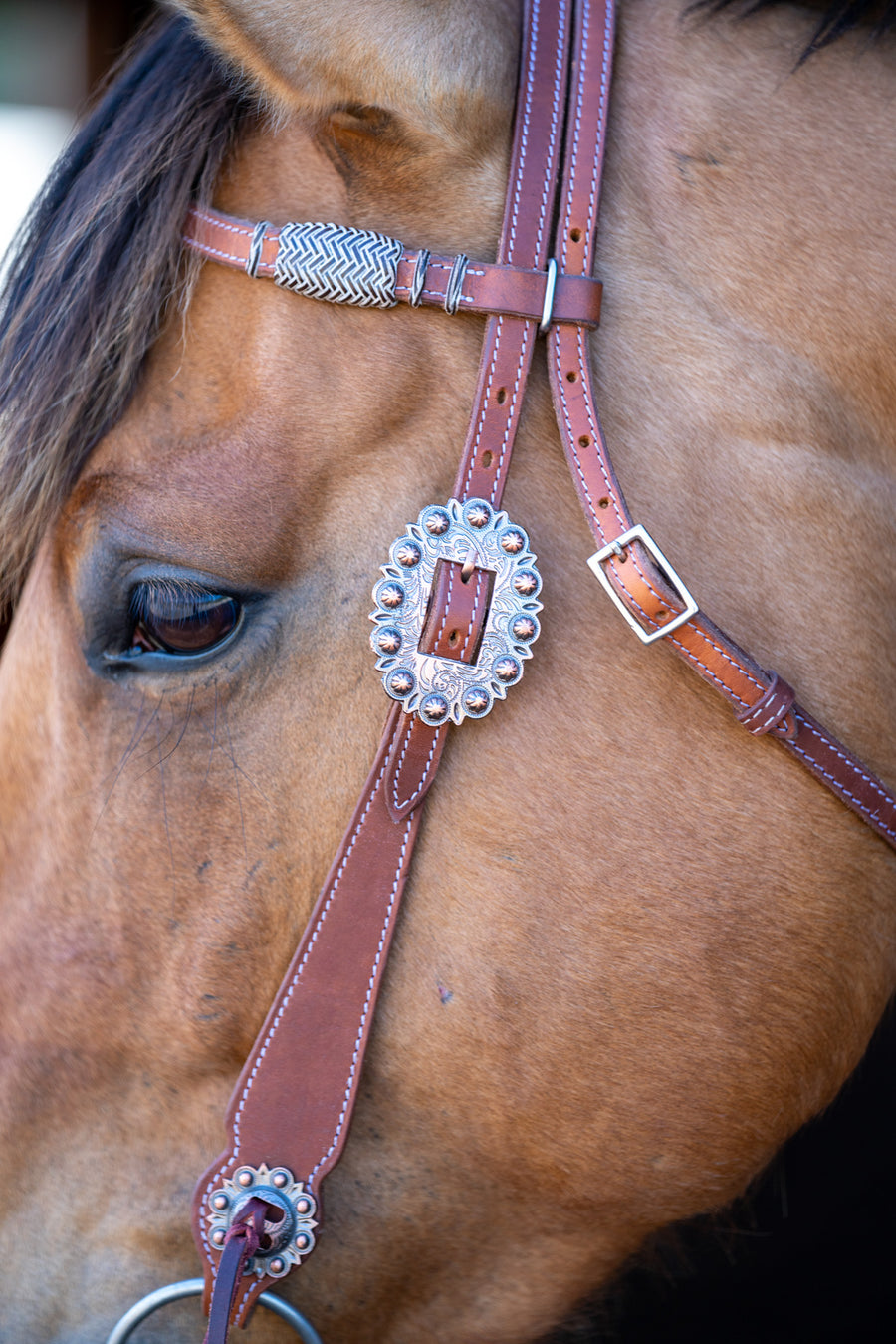 Western Browband Bridle with White Accents #483
